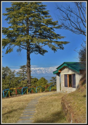 Wilderness camp